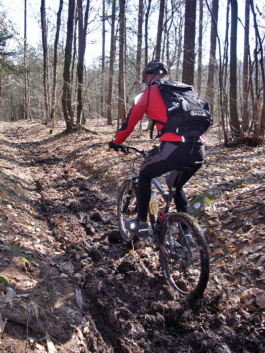 Der Waldboden ist jedoch noch feucht