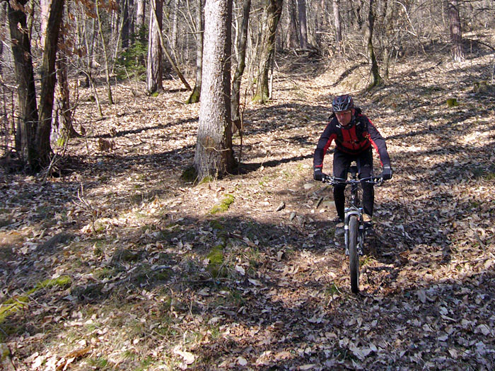 Bj&ouml;rn, der Waldschrat ;-)