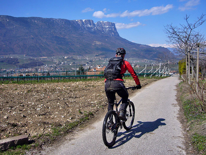 Raus aus dem dunklen Wald ...