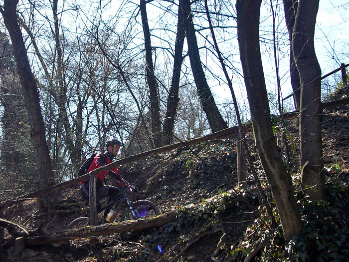 Bj&ouml;rn nimmt es locker ...