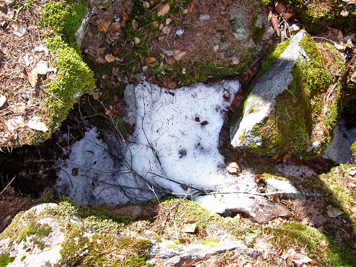 ... halten sich hier manchmal bis in den Sommer hinein