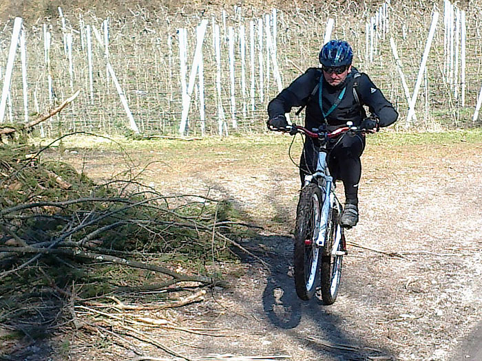 Manchmal geht es vorne hoch ...
