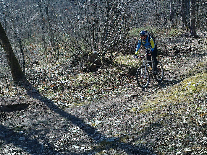 Wir rollen weiter durch den Wald