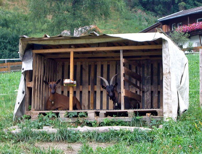 Menschen auf Fahrr&auml;dern sind bescheuert ;-)