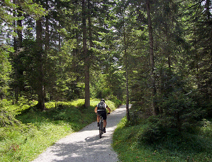 ... rollen wir durch den Kirchwald