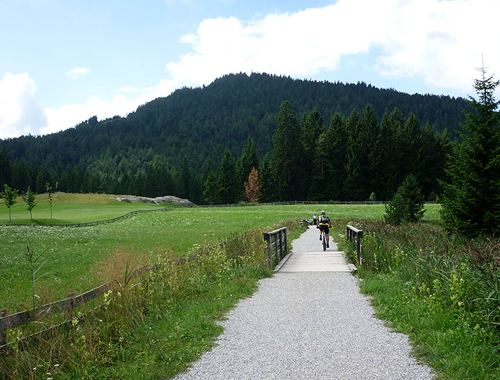 Der Weg führt durch Wiesen ...