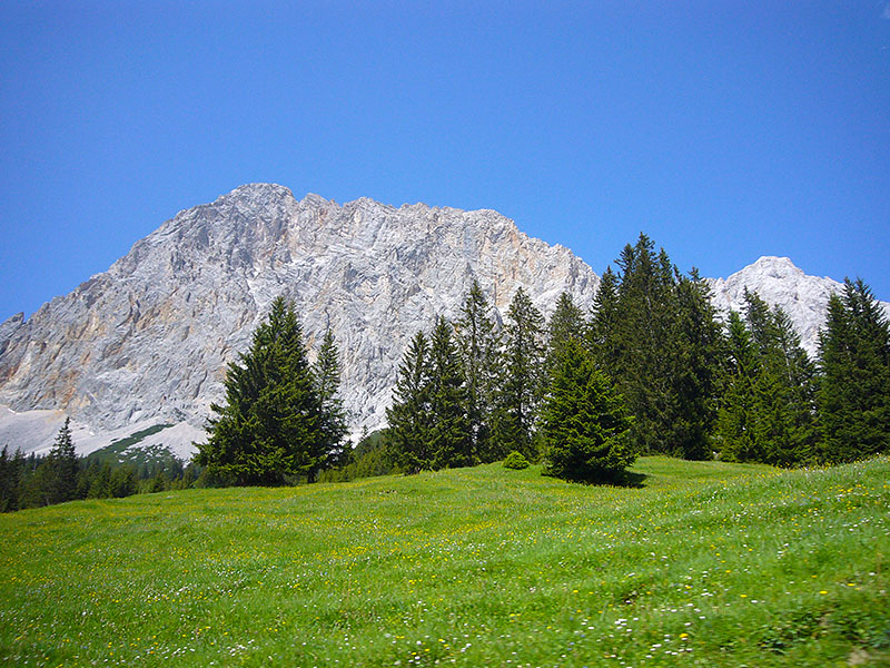 Oberhalb von Ehrwald grüßt die Zugspitze von der Seite