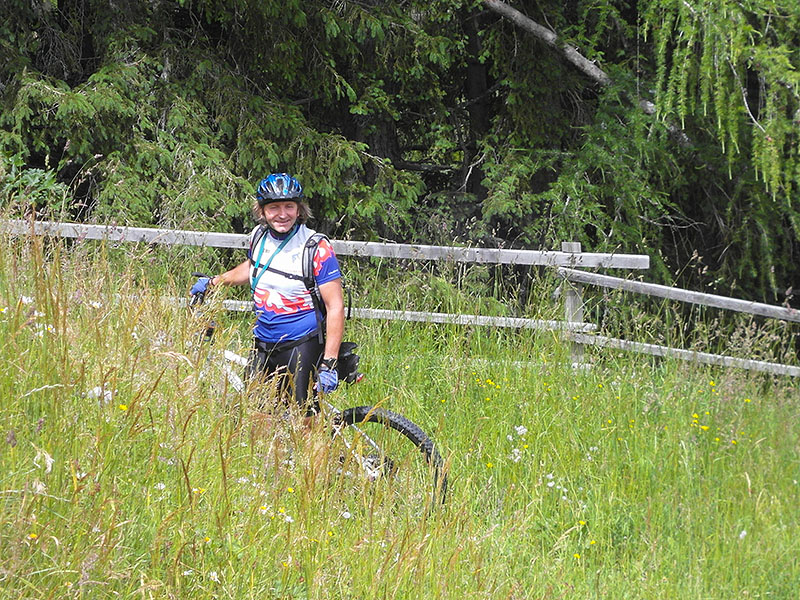 ... der durch's hohe Gras f&uuml;hrt