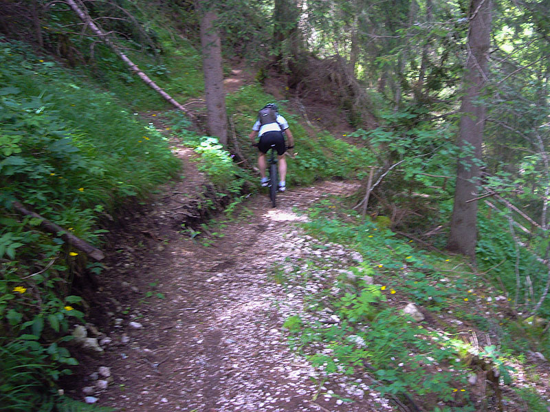 Dann werden die Gr&auml;ser k&uuml;rzer ...