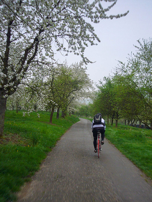 Fahrt durch die Obstwiesen