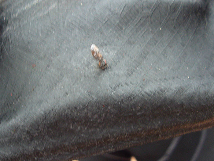 Das ist der &Uuml;belt&auml;ter!