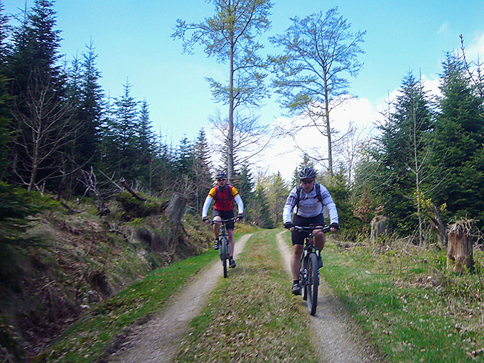 Waldwege sind besser als die Asphaltstra&szlig;e