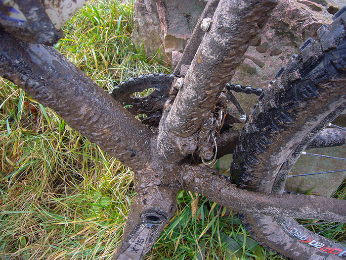 Sauber ist anders, aber artgerechte Haltung ist alles ;-)