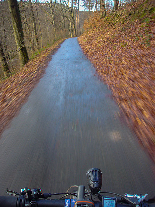 Die letzten Sonnenstrahlen m&uuml;hen sich durch das kahle Ge&auml;st