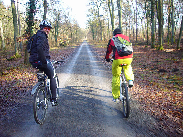 Auf einer Waldautobahn