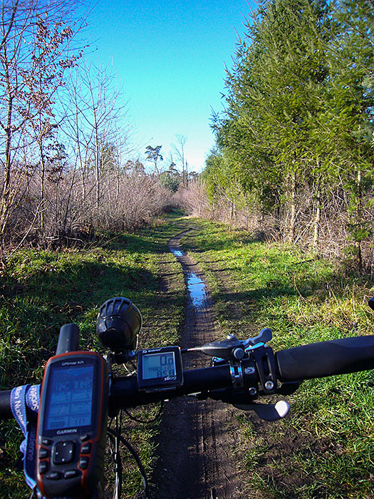 Feuchte Trail wechseln sich ab ...