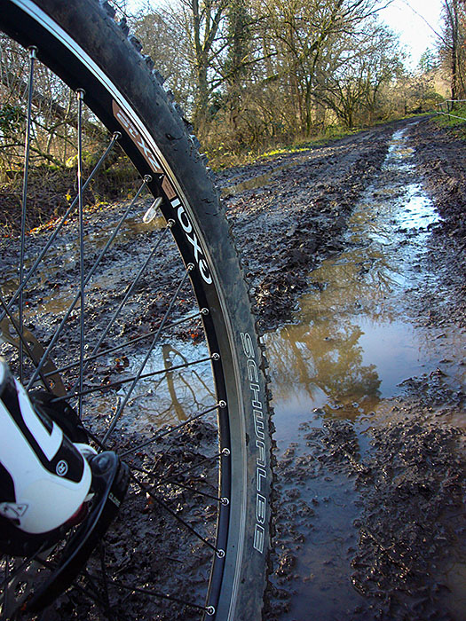 Da wird sich die Waschmaschine wieder freuen