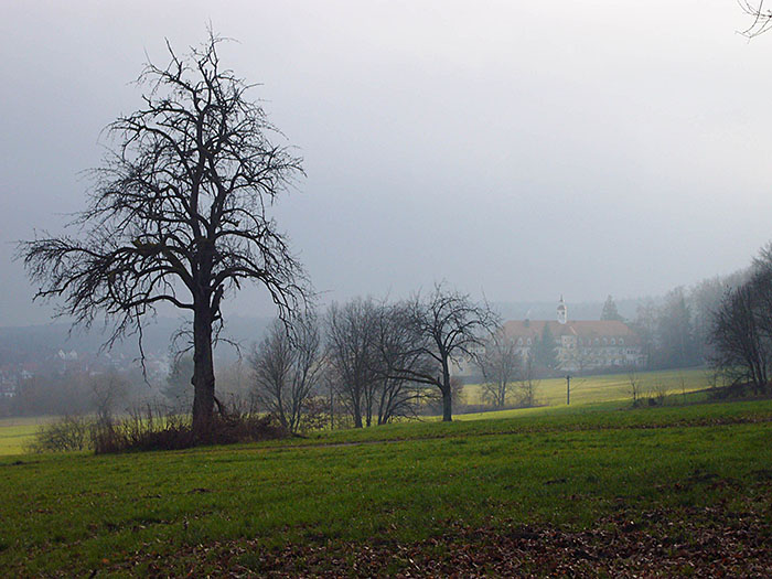 Langensteinbach im Nebel