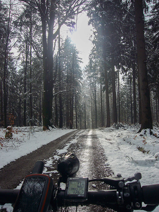 Trotz Wintersonne breche ich die Tour noch vor dem Dobel ab. Wege sind glatt, Knochen tun vom Sturz weh :-(