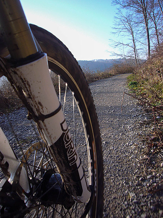 Waldweg bei Busenbach