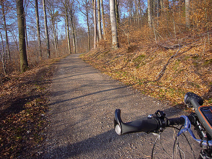 Waldweg bei Busenbach