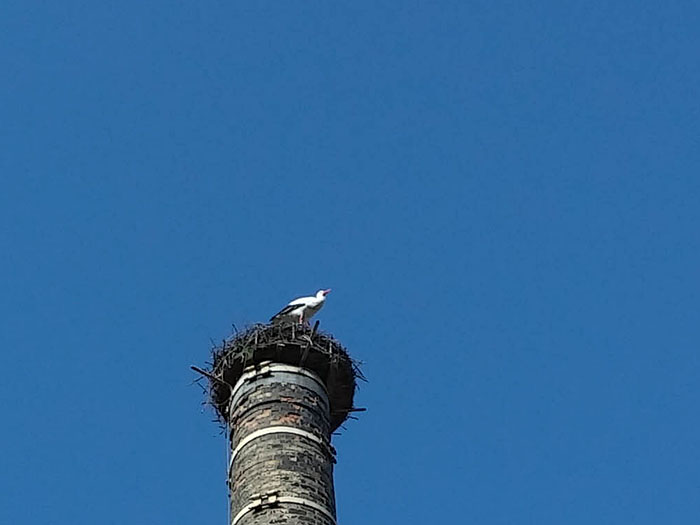 ... obwohl, der Storch w&auml;re eine prima Ausrede gewesen ;-)