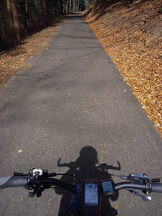 R&uuml;ckfahrt auf dem Albtal-Radweg