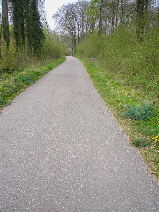 Weg durch die Rheinauen bei Elisabethenw&ouml;rth