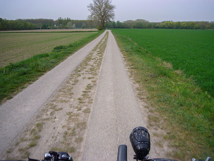 Der Rhein ist fast in Sicht