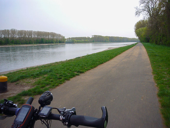 Auf dem Rheinradweg gen S&uuml;den