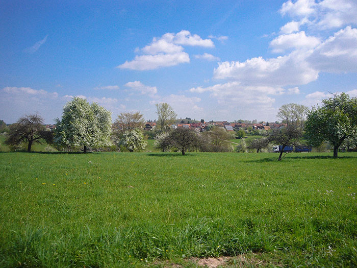 Nach der gestrigen Regentour ...