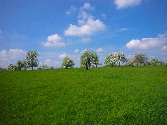... ist das sch&ouml;ne Wetter eine Wohltat f&uuml;r's Gem&uuml;t