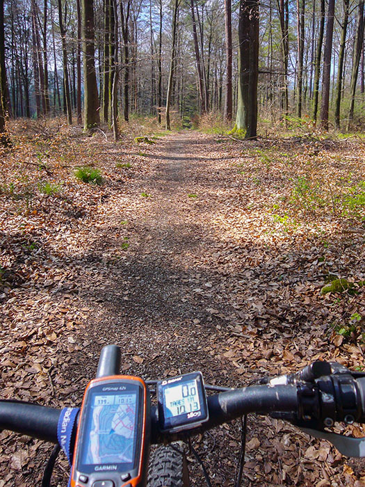 Abfahrt durch den Wald