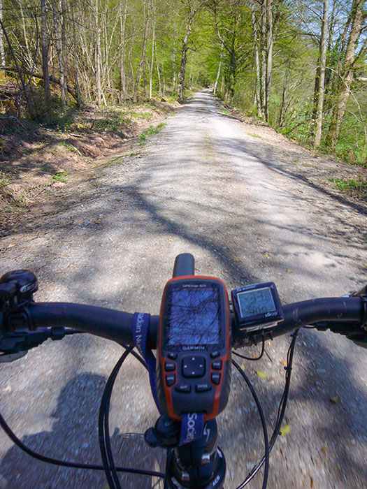 Auf dem Graf-Rhena-Weg