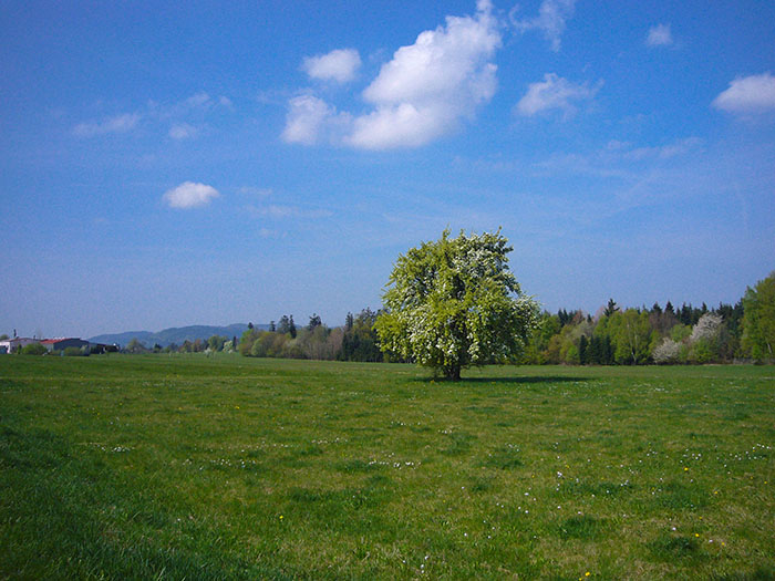 Sch&ouml;nes Wetter ...