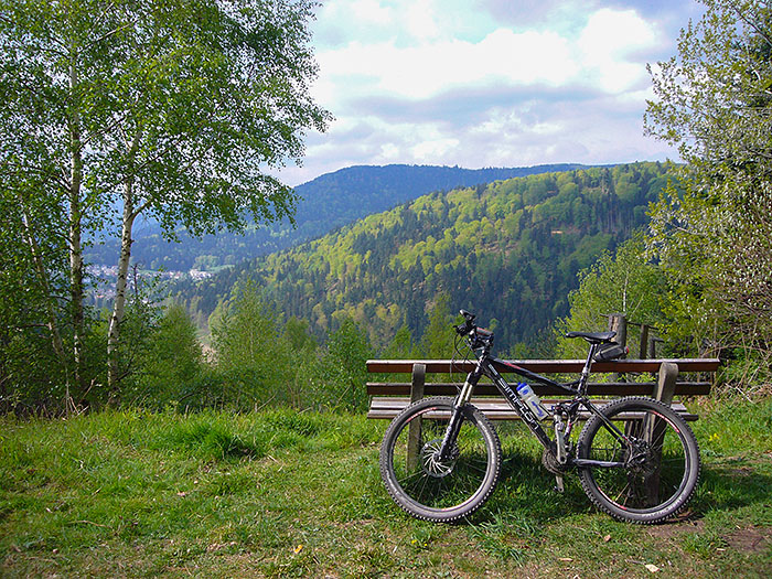 Hoch &uuml;ber dem Albtal