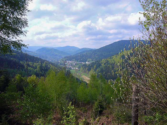 In der Ferne liegt Bad Herrenalb