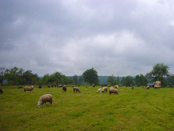 ... schielen zu den "M&auml;dels in Wollpullovern" ;-)