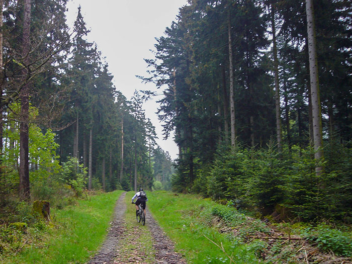 Letzter Anstieg nach Dobel ...