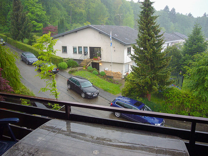 ... denn nach unserer R&uuml;ckkehr regnet es junge Hunde :-(