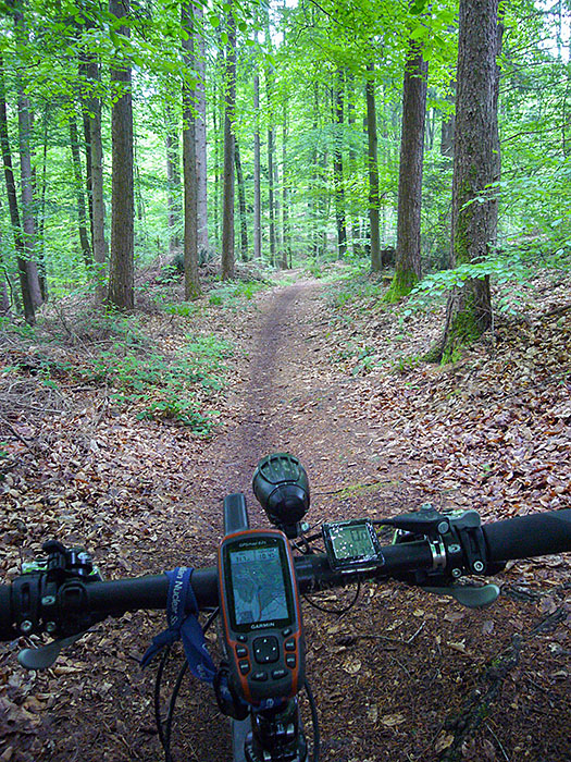 Durch den Wald erreicht man dann die Ettlinger Linien
