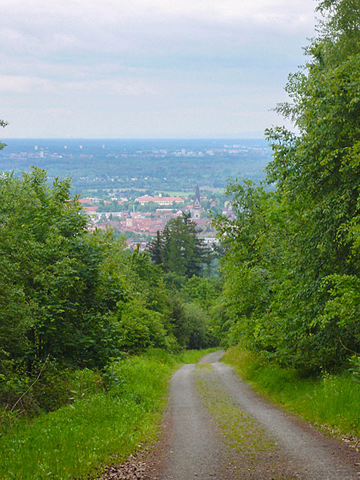 ... bevor man nach Ettlingen hinunter rollt