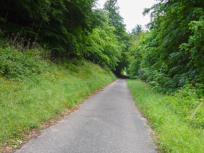 ... dass mir am Vogelsruhweg ...