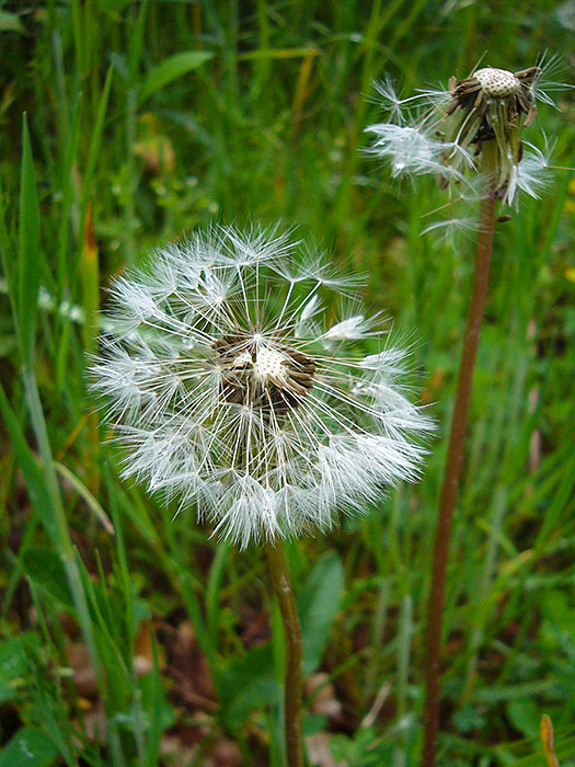 ... nicht die Puste weggeblieben ist ;-)