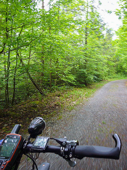 Durch den Wald steige ich hinauf ...