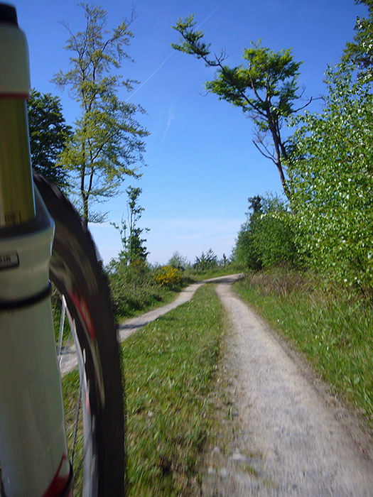 Fast am Pfaffenstuhl