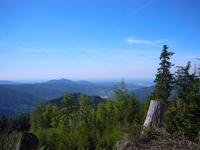 Blick in die ferne Rheinebene