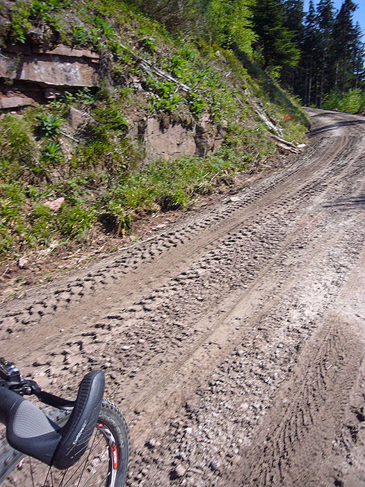Auf Sand l&auml;sst's sich schlecht fahren, besonders bergauf :-(
