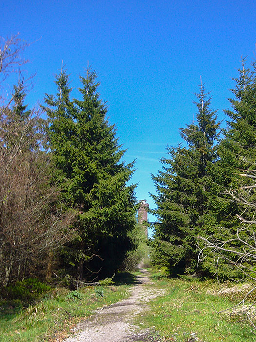 Kaiser-Wilhelm-Turm auf dem Hohloh