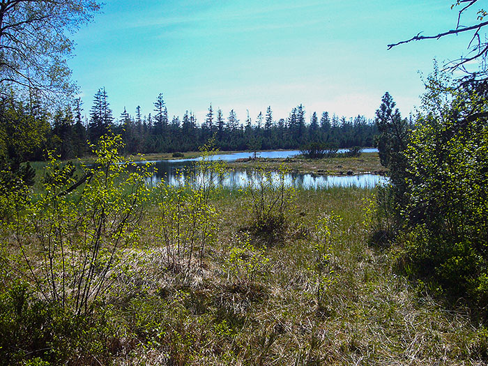Am Naturschutzgebiet Holohsee